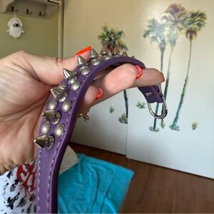 Edgy Purple Spiked Dog Collar